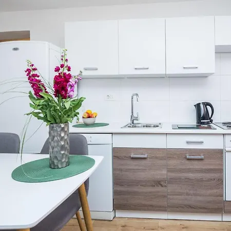 Cosy Near The Sport Center And Exercise Park Visnjik - Apartament *